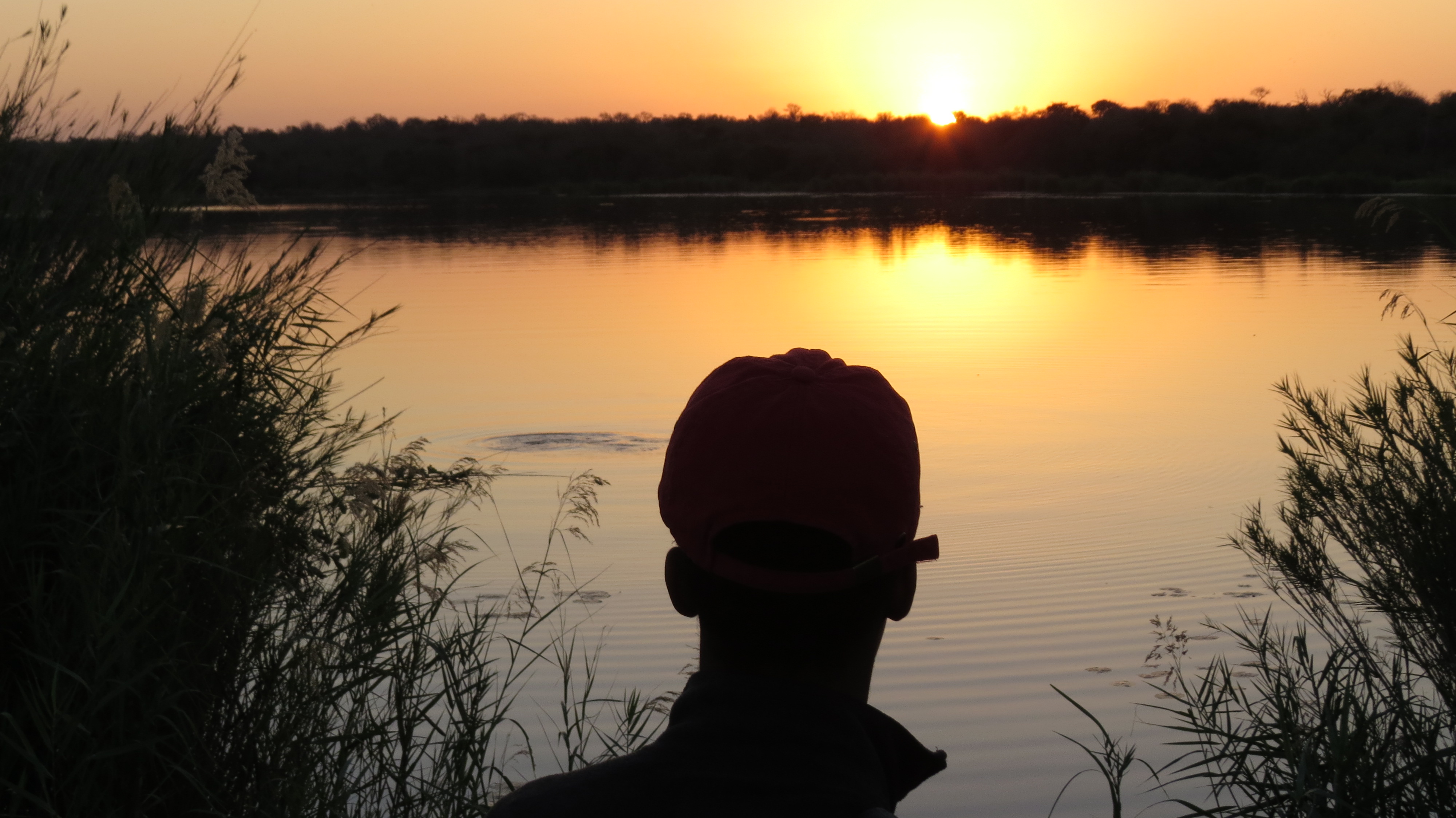 Niisoja Torto Overlooking Lake Panic Sundown as Hippos Grunt in the Water
