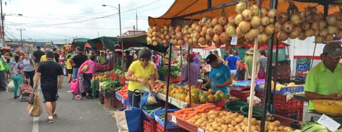 Photo of Duke in Costa Rica students at the market