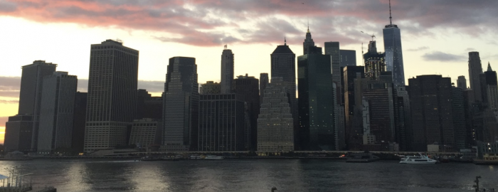 Amazing views of Manhattan from Brooklyn Bridge Park