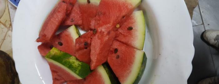 Photo of watermelon served at Moroccan homestay