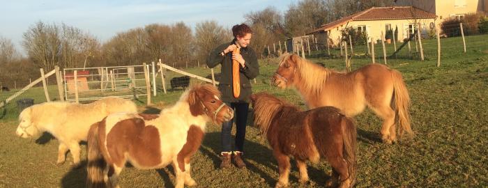 Photo of student feeding farm animals