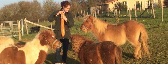 Photo of student feeding farm animals