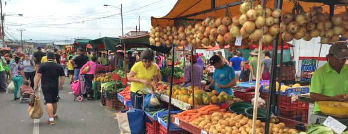 Photo of students shopping at market in Costa Rica