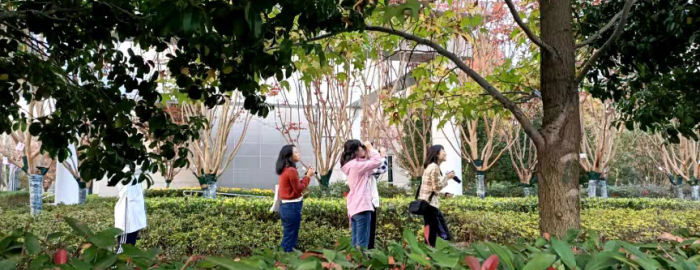 Birdwatchers looking up at trees